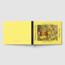 Célébration du livre de la mémoire de vie, Papillo