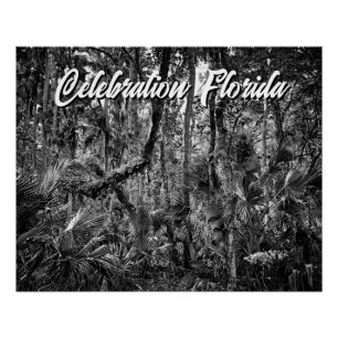 Celebration, Florida Poster