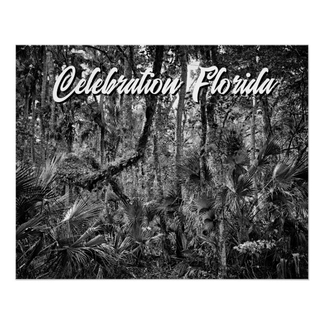 Celebration, Florida Poster (Front)
