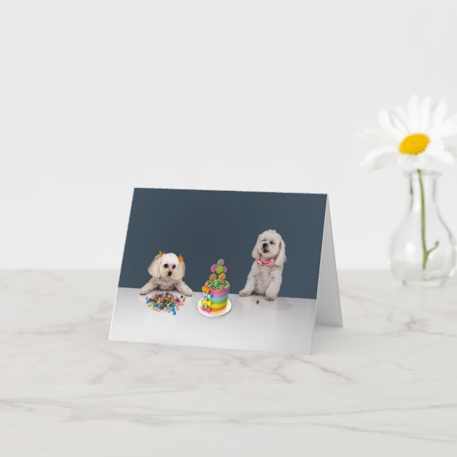 Celebration Greeting Card - Blank Inside (Small Plant)
