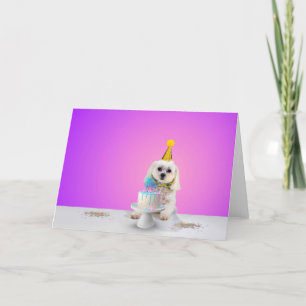 Celebration Greeting Card - Blank Inside 5x7