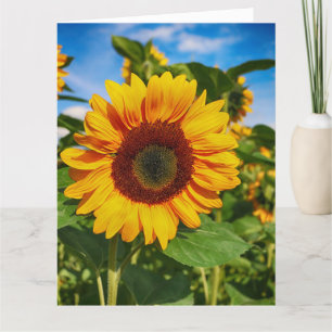 CELEBRATION OF A BEAUTIFUL LIFE SYMPATHY CARD