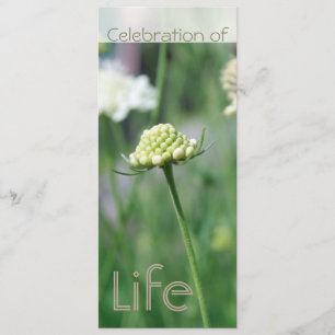 Celebration of Life 2 Floral Landscape Invitation