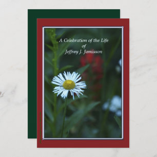 Celebration of Life Invitation, White Wildflower Invitation