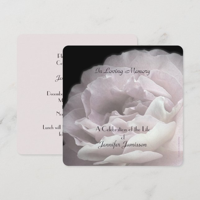 Celebration of Life Square Pale Pink Rose Floral Invitation (Front/Back)