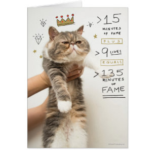Célébrité de chat Internet