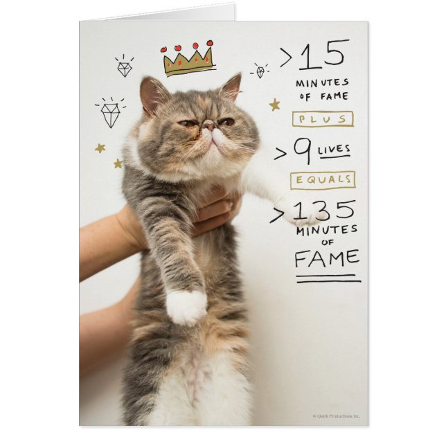 Célébrité de chat Internet (Devant)