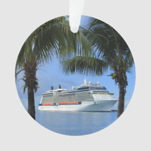 Célébrité Silhouette Croisière à Paradise Snowflak