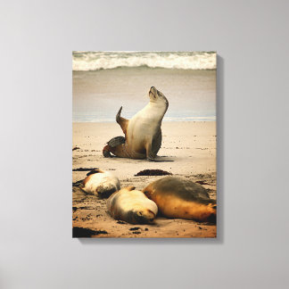 Celebrity Status - No Photos Canvas Print