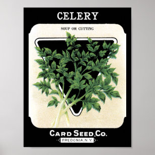 Celery green Card Seed Co. Fredonia, NY Vintage Poster
