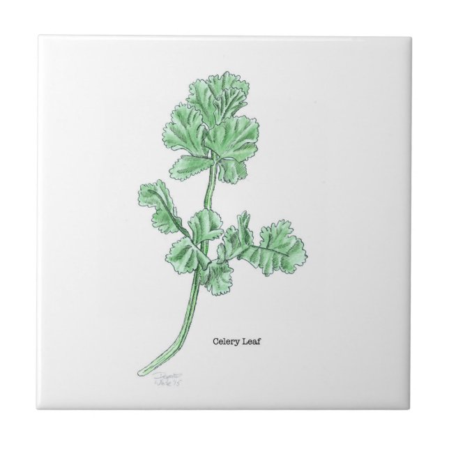 Celery Leaf Art Tile (Front)