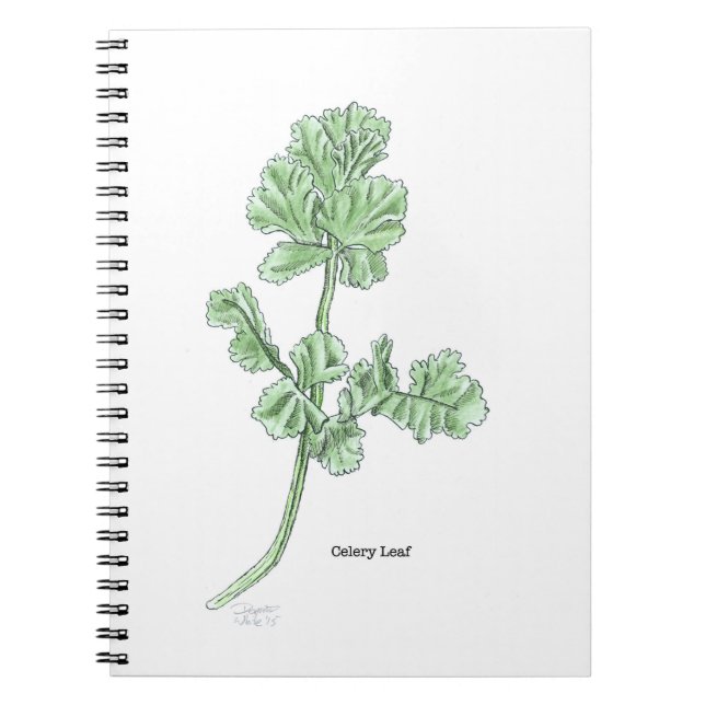 Celery Leaf Notebook (Front)