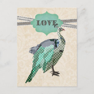Celeste Peacock Love   Postcard
