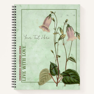 Celestial Bells: Hanabusaya asiatica Notebook