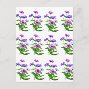 Celestial Floral Spiritual Minimalist Design Postcard