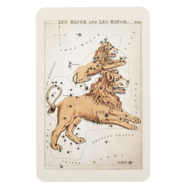 Celestial Leo Constellation Magnet (Vertical)