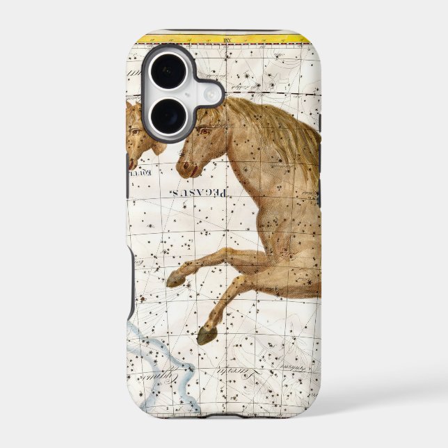 Celestial Map Pegasus (Back)