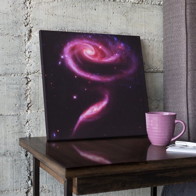 Celestial Pink Rose Galaxies Canvas Print (Creator Uploaded)