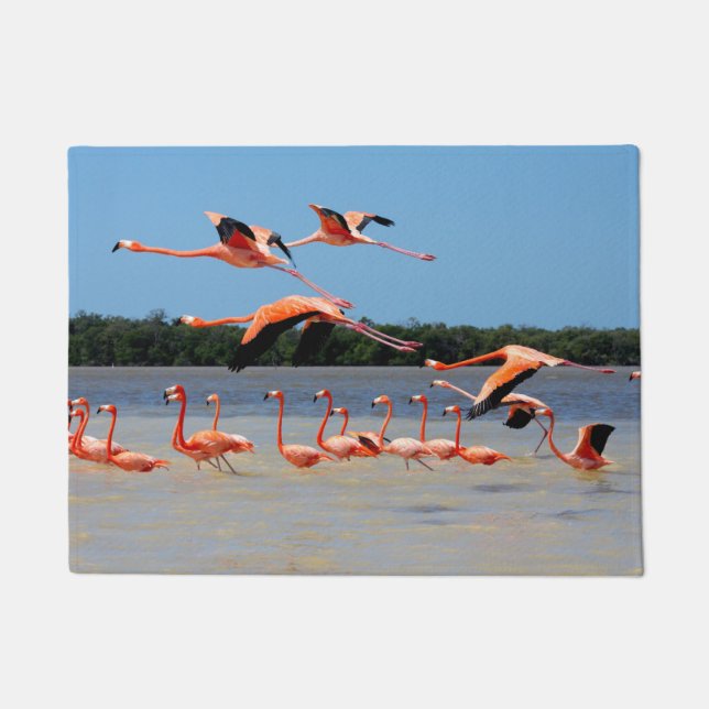 Celestun Biosphere Reserve Doormat (Front)