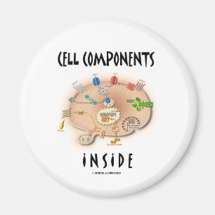 Cell Components Inside Magnet