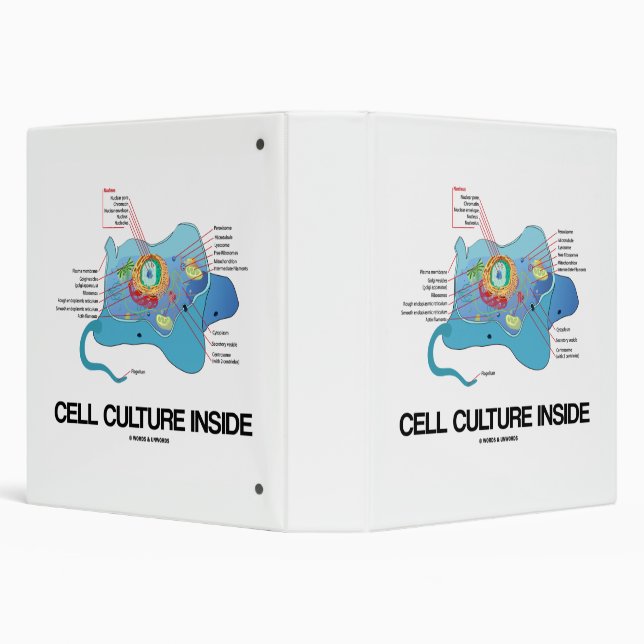Cell Culture Inside Eukaryotic Cell Binder (Background)