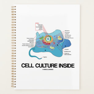 Cell Culture Inside Eukaryotic Cell Planner