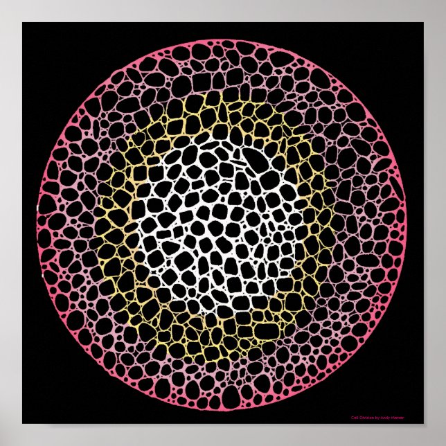 Cell Division Print (Front)