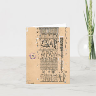 Cell Drawing Eye Retina Santiago Ramon Y Cajal Card