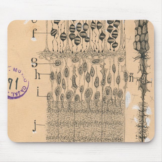 Cell Drawing Eye Retina Santiago Ramon Y Cajal Mouse Pad (Front)