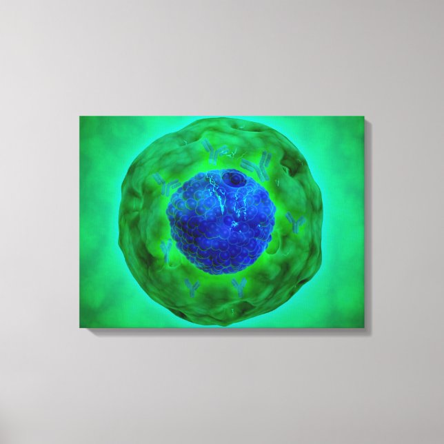 Cell Nucleus With Chromosome 1 Canvas Print (Front)