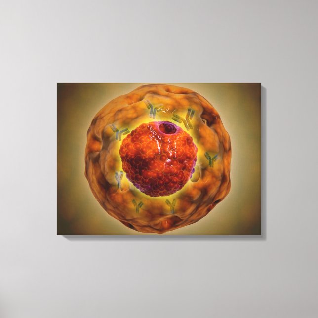 Cell Nucleus With Chromosome 3 Canvas Print (Front)