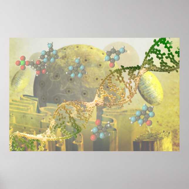 Cell with DNA Poster (Front)