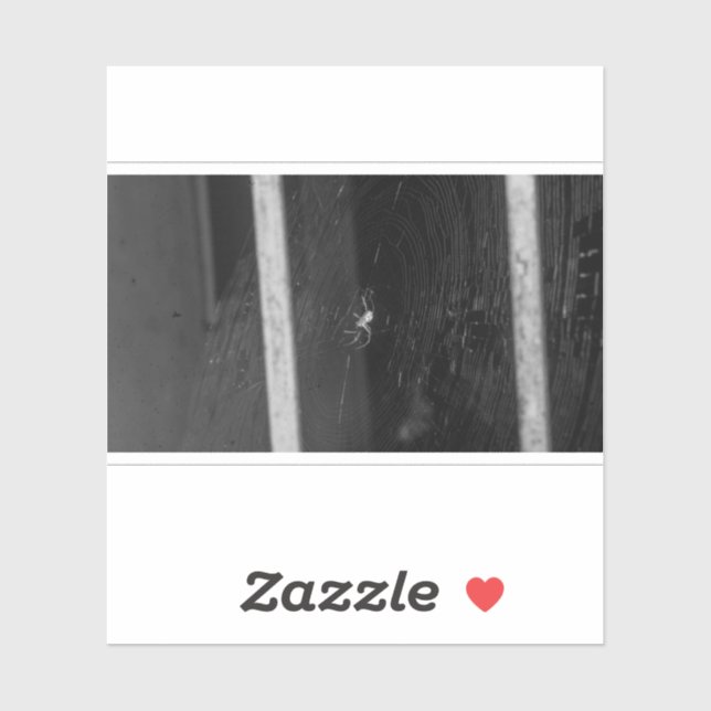 Cellar Spider (Sheet)