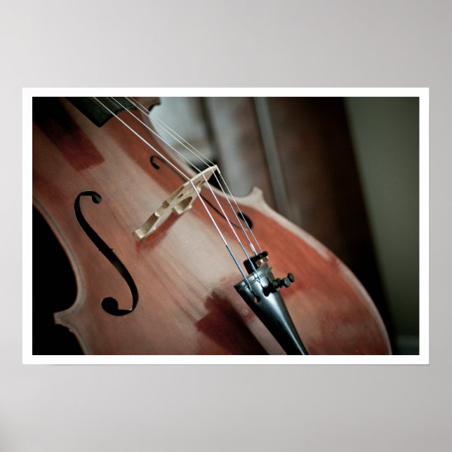 Cello Print (Front)