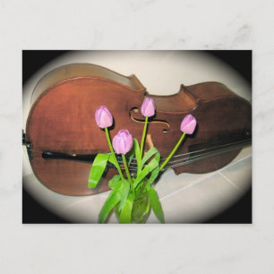 Cello with Tulips postcard