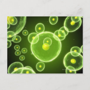 Cells 2 postcard