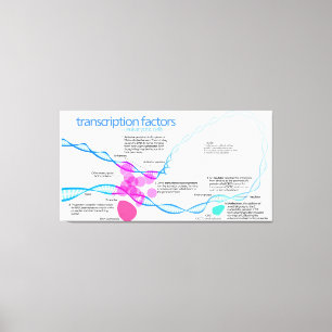Cells Gene Transcription Factors Diagram  Canvas Print