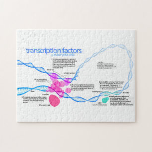 Cells Gene Transcription Factors Diagram  Jigsaw Puzzle