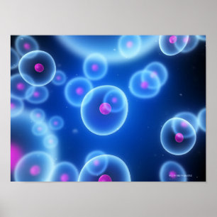 Cells Poster