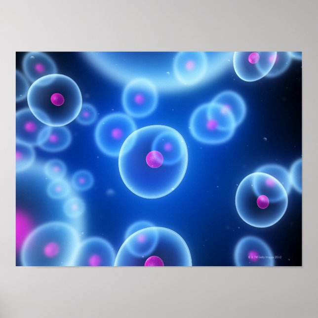 Cells Poster (Front)