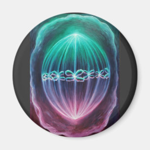 Cellular divizion magnet