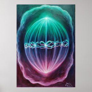 Cellular divizion poster