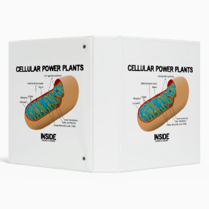 Cellular Power Plants Inside Mitochondrion Binder