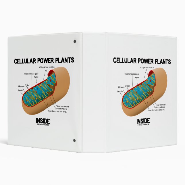 Cellular Power Plants Inside Mitochondrion Binder (Background)