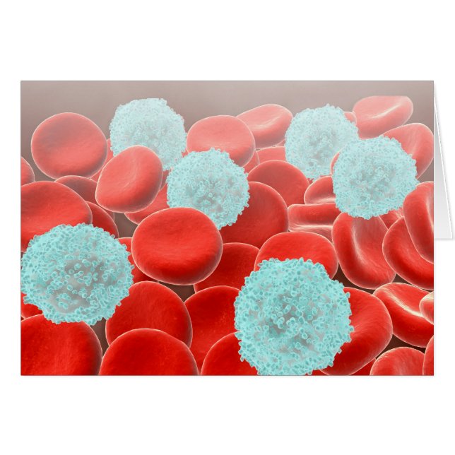 Cellules de sang rouge avec cellules de sang blanc (Devant horizontal)