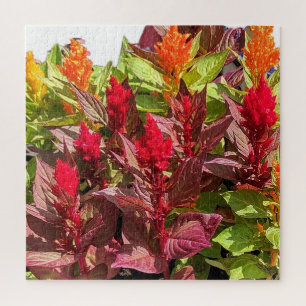 CELOSIA FLOWERS  JIGSAW PUZZLE