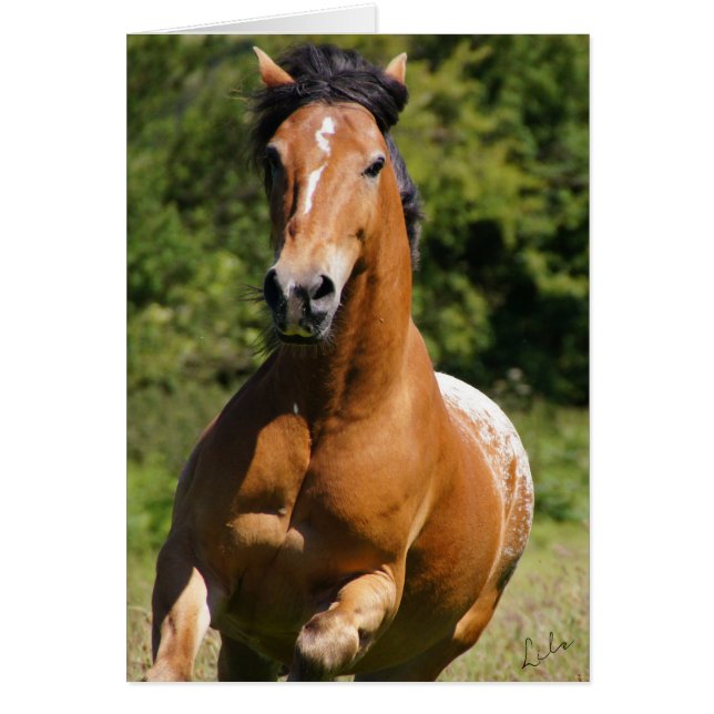 Celtic Flame card (Front)