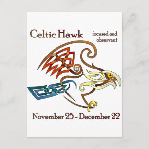 Celtic Hawk Postcard