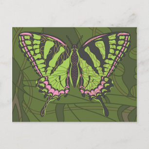 Celtic Swallowtail Postcard