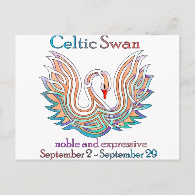 Celtic Swan Postcard (Front)